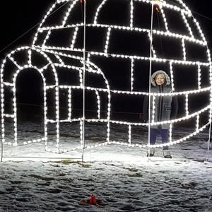 Meet your Posher, Mona